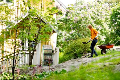 Click to view a larger image