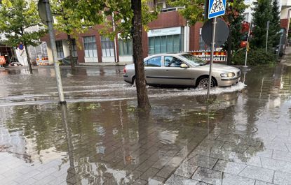 Click to view a larger image