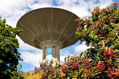 Click to view a larger image