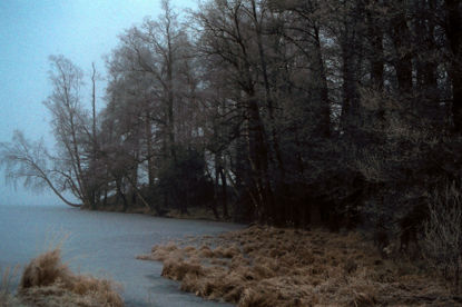 Click to view a larger image