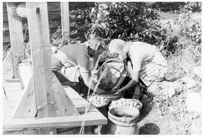 Click to view a larger image