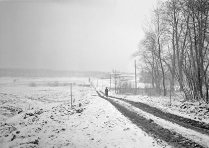 Click to view a larger image