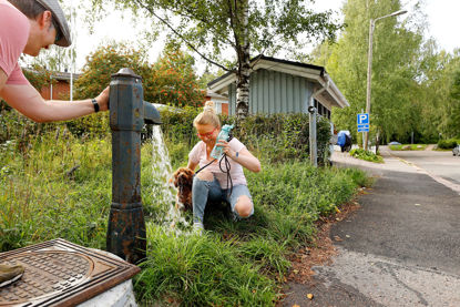 Click to view a larger image